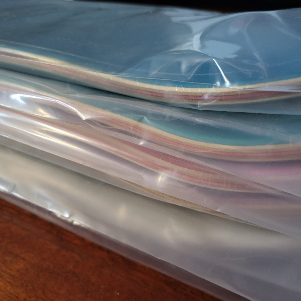 Polybeutel für Lagerung und Schutz von Decks - Schutzhüllen 25er Pack Poly Boardbags - Skateboarding - Rollbrett Mission