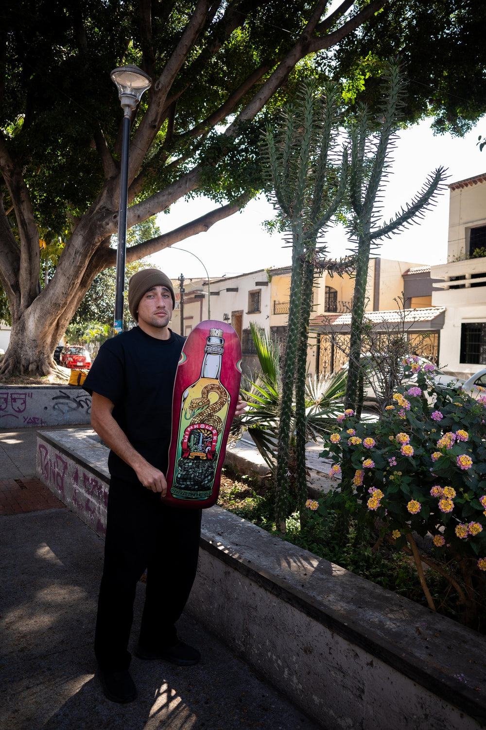 Santa Cruz Winkowski Agave Snake Pro Shaped 10.35" Deck