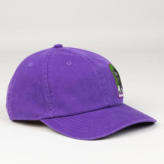 Alien Workshop Dinosaur Jr. Green Mind Cap purple