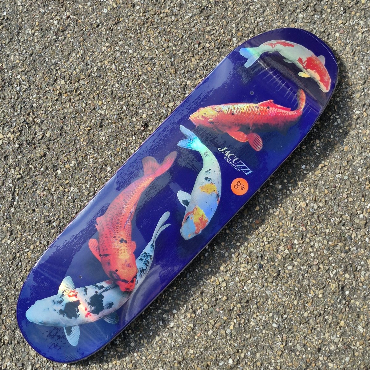 Jacuzzi 500 Years EX7 8.75 purple holo Deck - Skateboard - Decks - Rollbrett Mission