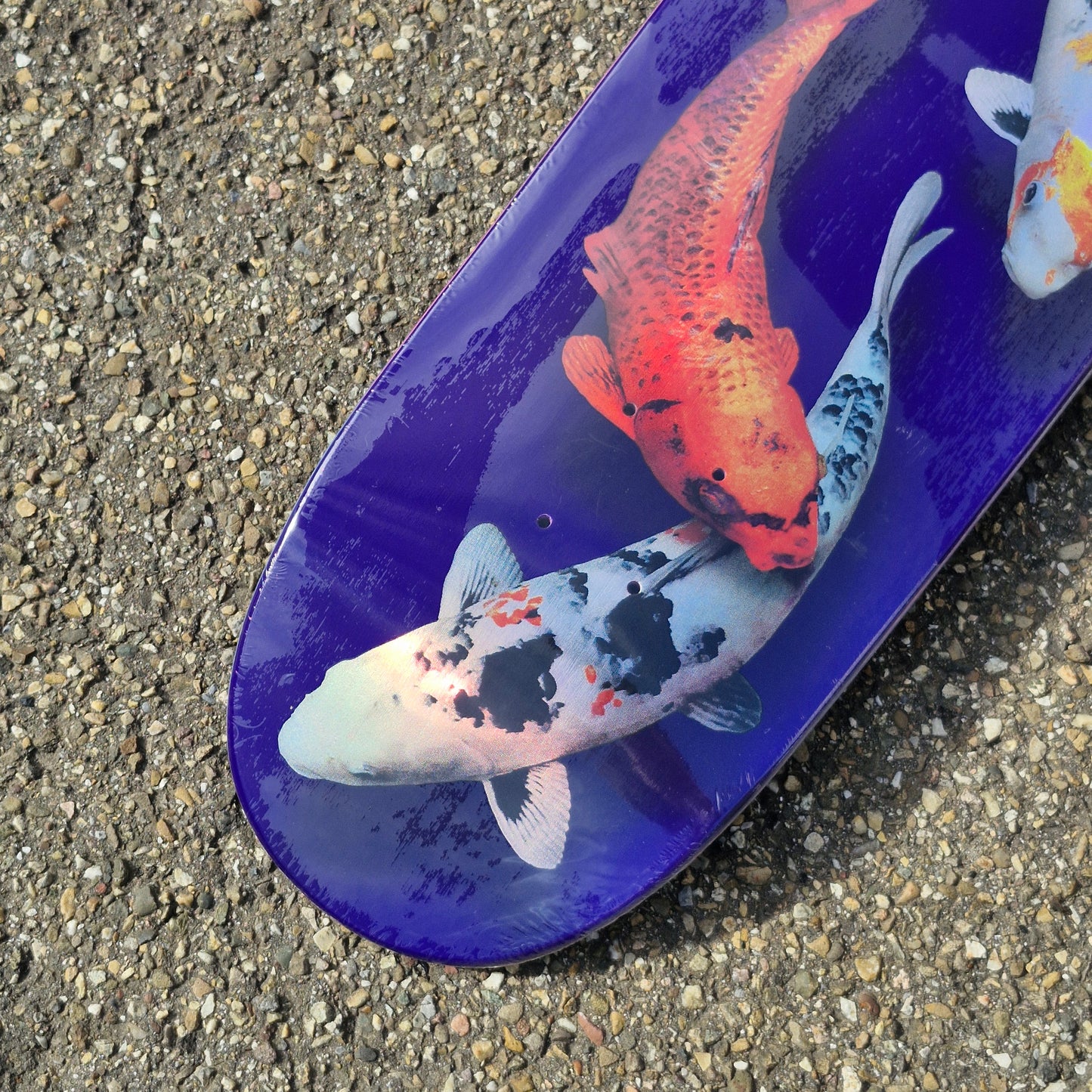 Jacuzzi 500 Years EX7 8.75 purple holo Deck