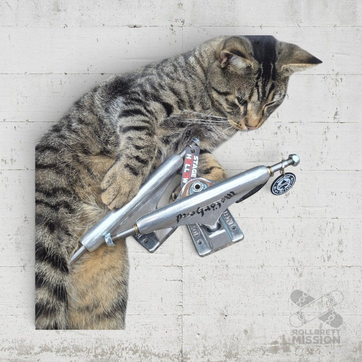 Set!! Independent Stage 11 144 Hollow Motörhead + Hollow Silver 8.25" Trucks - Skateboard-Achsen - Rollbrett Mission