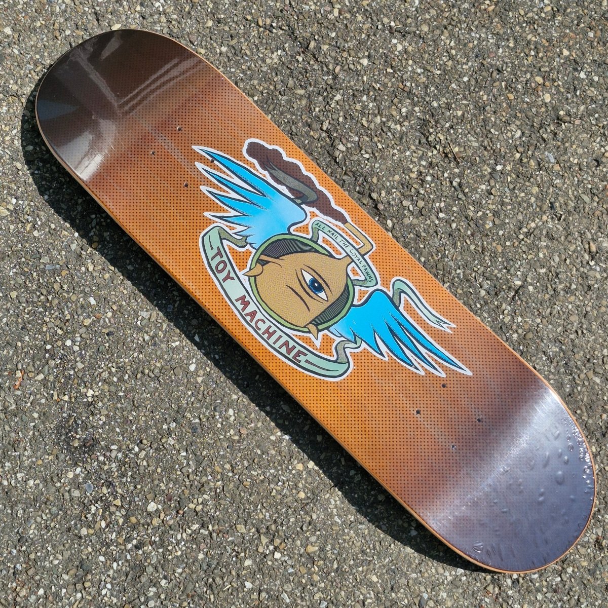 Toy Machine All Hail 8.25 Deck - Skateboard - Decks - Rollbrett Mission
