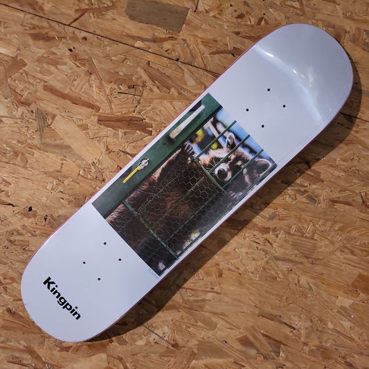 Kingpin x David Luther Racoon 8.125" Deck - Skateboard-Decks - Rollbrett Mission