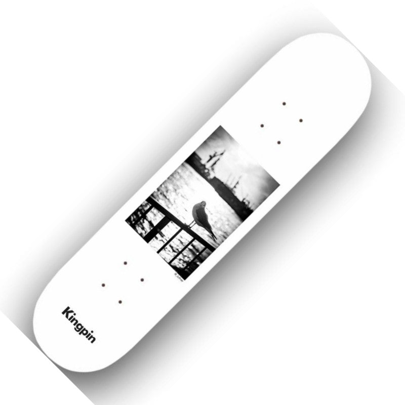 Kingpin x David Luther Seagull 8.25" Deck - Skateboard-Decks - Rollbrett Mission