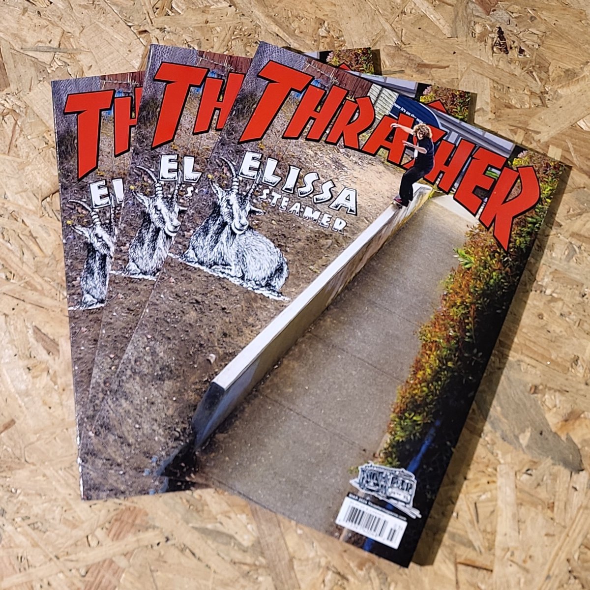 Thrasher Magazine 524 March 2024 - Zeitschriften - Rollbrett Mission